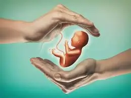 Fertility Clinic IVF