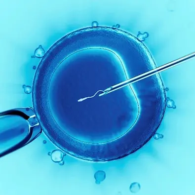 IVF
