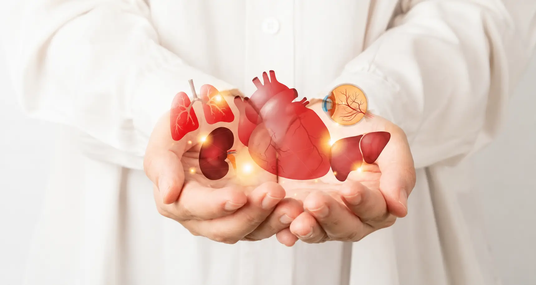 Organ donation and transplantation awareness showing vital organs held by a healthcare professional
